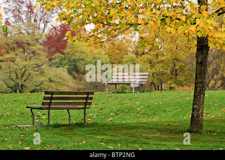 Ruhige Einsamkeit: leeren Sie Parkbänke in Jericho Beach Park, Vancouver, Kanada. Stockfoto