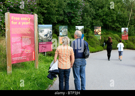 Entlang der Strecke vom Parkplatz zum Visitor Center auf das Eden Project in Cornwall Stockfoto