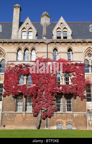 Efeu an den Wänden der Kirche Christ College in Oxford im Herbst Stockfoto