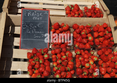 Frankreich, Giverny, Dieppe, Stawberry stall Stockfoto