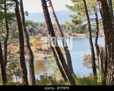 Puentes Viejas Reservoir, Las Gariñas (Buitrago de Lozoya) Stockfoto