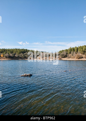 Puentes Viejas Reservoir, Las Gariñas (Buitrago de Lozoya) Stockfoto