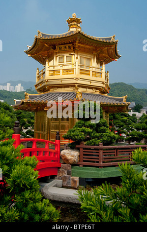 Asien, China, Hong Kong, Chi Lin Nunnery Pagode, Diamond Hill, Kowloon Stockfoto