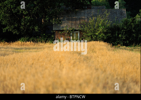 Swietokrzyskie Lechow typisch polnischen Bauernhof Stockfoto