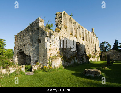 England, North Yorkshire, Jevaulx Abbey außen Stockfoto