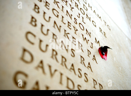 National Memorial Arboretum. Tag des Waffenstillstands. Stockfoto