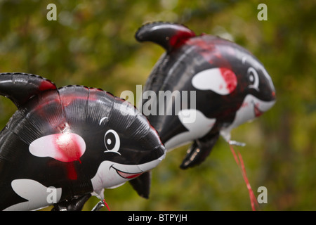Großer Schwertwal Ballons während einer Anti-Walfang-Protest vor der japanischen Botschaft in London Stockfoto