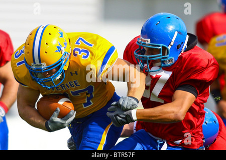 WIESBADEN, Deutschland - 29 Juli Schweden schlägt Großbritannien 14-2 während der Europameisterschaft am 29. Juli 2010. Stockfoto