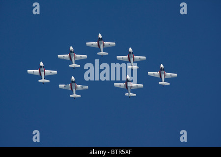 Kanadische Kräfte 431 Air Demonstration Squadron CT-114 Demo-team Stockfoto