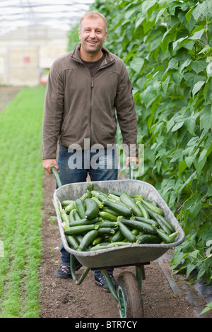 Landwirtschaft, Gemüse und Obst Stockfoto