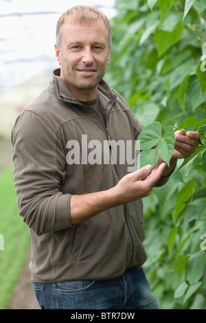 Landwirtschaft, Gemüse und Obst Stockfoto