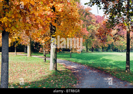 Herbstliche Farbtöne im Parco di Monza Italien Stockfoto