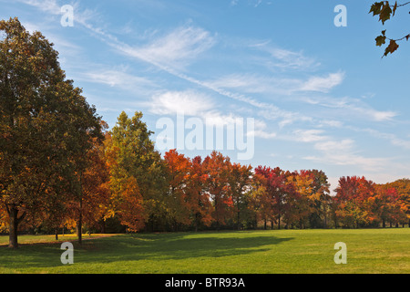 Herbstliche Farbtöne im Parco di Monza Italien Stockfoto