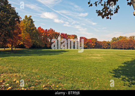 Herbstliche Farbtöne im Parco di Monza Italien Stockfoto