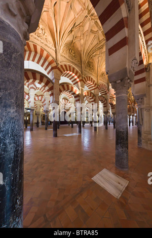 Blick auf Dom zeigt die ursprüngliche maurische Struktur und späteren christlichen Decke Behandlung. Stockfoto