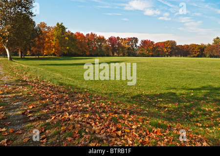 Herbstliche Farbtöne im Parco di Monza Italien Stockfoto