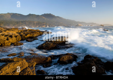 Wellen an der Küste am Point Lobos State Park, Kalifornien. Stockfoto