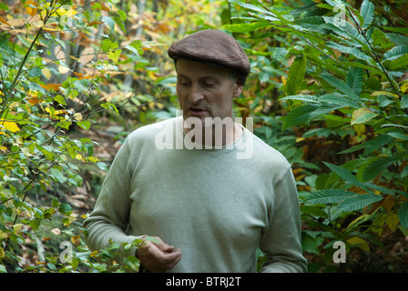 Ben Gesetz mit einem Hintergrund von süße Kastanien in Stacheligen Mutter Holz Stockfoto