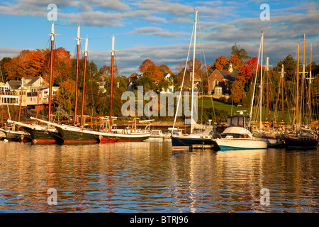 Herbstmorgen im Hafen von Camden Maine USA Stockfoto