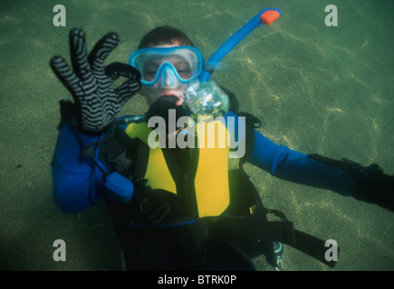 Neunjährige Tauchen. Gloucester, Massachusetts - Atlantischer Ozean - USA Stockfoto