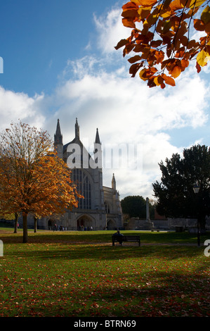 Westende der Winchester Cathedral Anfang November mit Bäumen zeigen goldene Herbstfärbung. Stockfoto