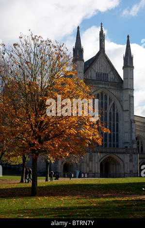 Westende der Winchester Cathedral Anfang November mit Bäumen zeigen goldene Herbstfärbung. Stockfoto