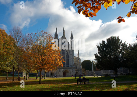 Westende der Winchester Cathedral Anfang November mit Bäumen zeigen goldene Herbstfärbung. Stockfoto