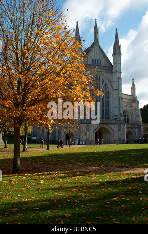 Westende der Winchester Cathedral Anfang November mit Bäumen zeigen goldene Herbstfärbung. Stockfoto