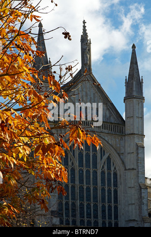 Westende der Winchester Cathedral Anfang November mit Bäumen zeigen goldene Herbstfärbung. Stockfoto