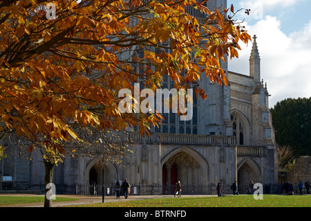 Westende der Winchester Cathedral Anfang November mit Bäumen zeigen goldene Herbstfärbung. Stockfoto