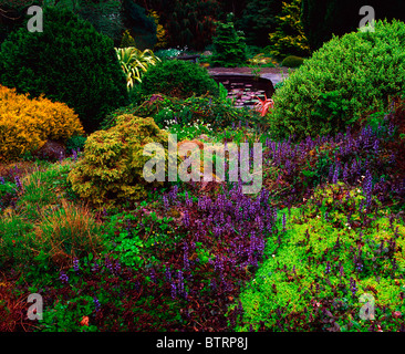 Ardcarrig Gärten, Co. Galway, Irland; Steingarten im Frühjahr Stockfoto