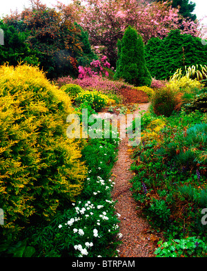 Ardcarrig Gärten, Co. Galway, Irland; Heather-Garten im Frühling Stockfoto