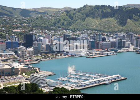 Blick auf Wellington Stadt und Hafen Stockfoto