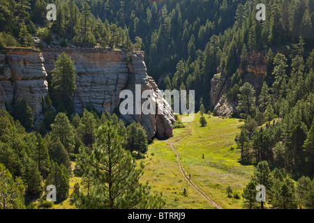 Wanderer auf Trail unterhalb Fisher zu Beginn der Narrows Abschnitt Walnut Canyon, Coconino National Forest, Flagstaff, Arizona Stockfoto