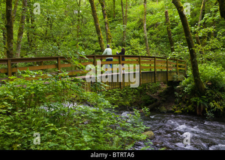 Brücke über Bridal Veil Creek direkt unter Bridal Veil Falls in der Columbia River Gorge National Scenic Area-Oregon Stockfoto