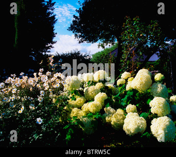 Sandford Road, Co Dublin, Irland Stockfoto