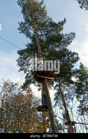 Ape im freien Kurs - Wendover Woods - Buckinghamshire zu gehen. Stockfoto