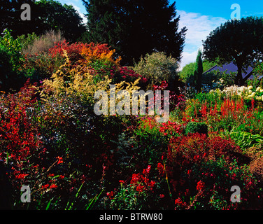 Sandford Road, Dublin, Co. Dublin, Irland; Krautige Grenze Stockfoto