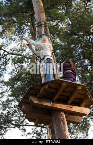 Ape im freien Kurs - Wendover Woods - Buckinghamshire zu gehen. Stockfoto