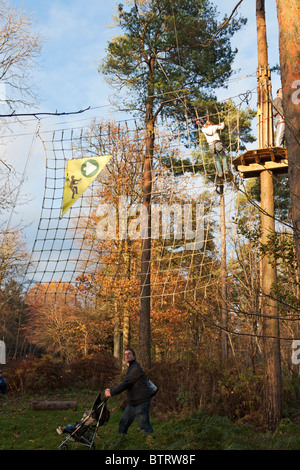 Ape im freien Kurs - Wendover Woods - Buckinghamshire zu gehen. Stockfoto