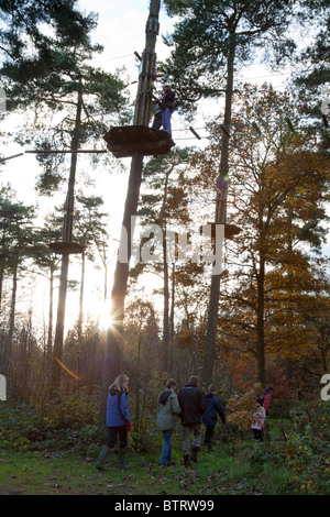 Ape im freien Kurs - Wendover Woods - Buckinghamshire zu gehen. Stockfoto