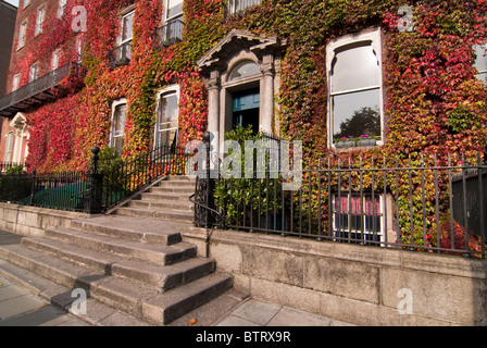 Herbstfarben im Georgian Dublin Stockfoto