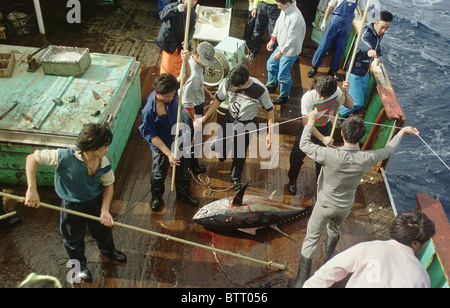 Illegale asiatische Long-Liner Boot Fischen für Thunfisch im Südatlantik. Stockfoto