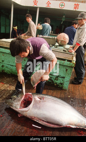 Illegale asiatische Long-Liner Boot Fischen für Thunfisch im Südatlantik. Stockfoto