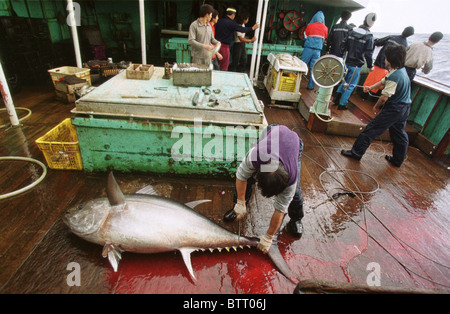 Illegale asiatische Long-Liner Boot Fischen für Thunfisch im Südatlantik. Stockfoto