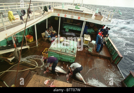 Illegale asiatische Long-Liner Boot Fischen für Thunfisch im Südatlantik. Stockfoto