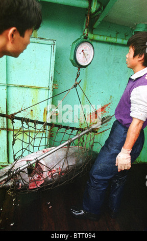 Illegale asiatische Long-Liner Boot Fischen für Thunfisch im Südatlantik. Stockfoto