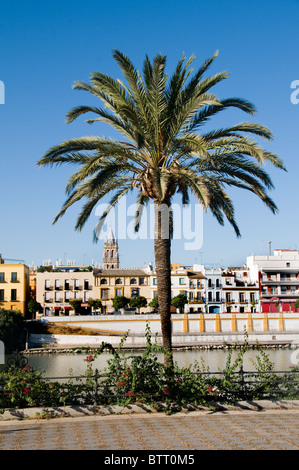 Triana Sevilla Spanien Fluss Rio Guadalquivir Stadt Stockfoto