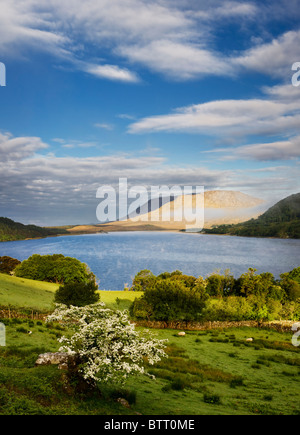 Der Nord-westlichen Ufer des Lough Corrib, in der Nähe von Doon Felsen mit Blick auf Lackavrea Berg, Connemara, Co. Galway, Irland Stockfoto