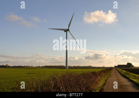 Windturbine auf das Venn bei Ranson Moor, Cambridgeshire, England, UK Stockfoto